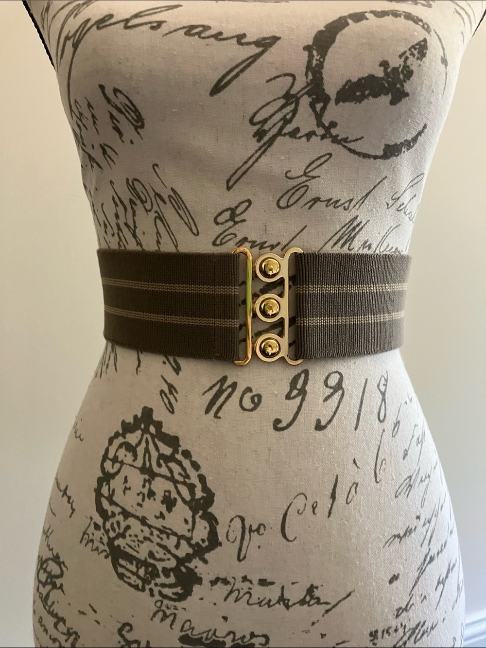 H&M Y2K Style Wide Brown Striped Stretch Elastic Belt Interlocking “Gold” Buckle